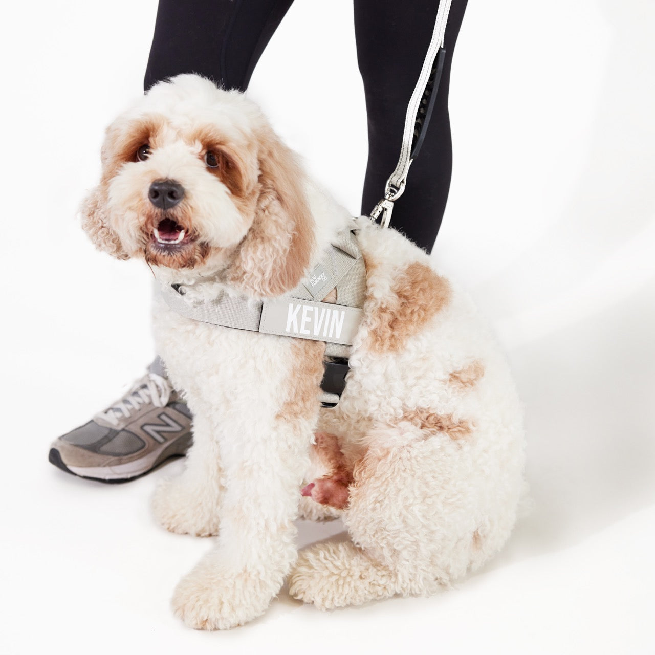 Walk#002 Harness