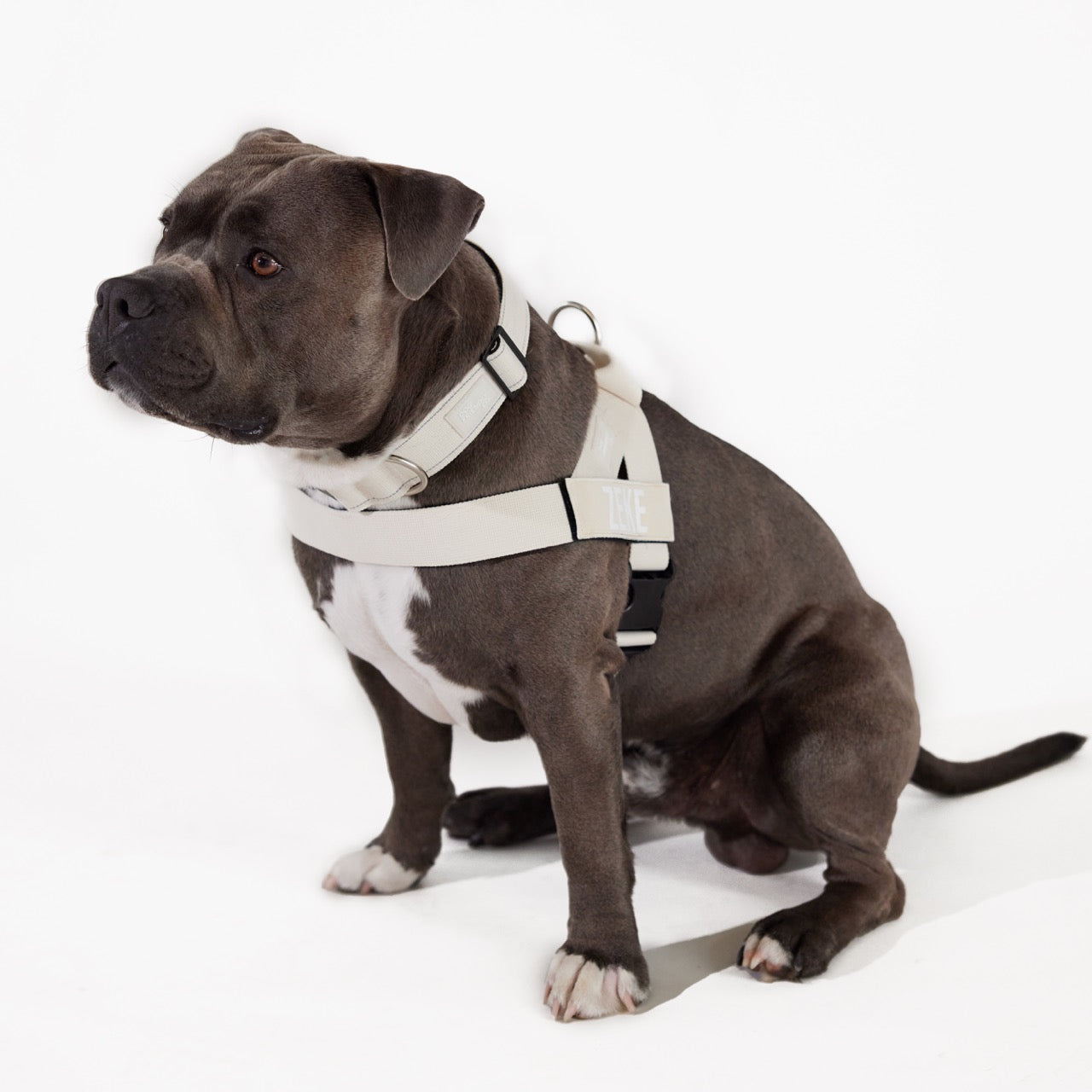 Walk#002 Harness