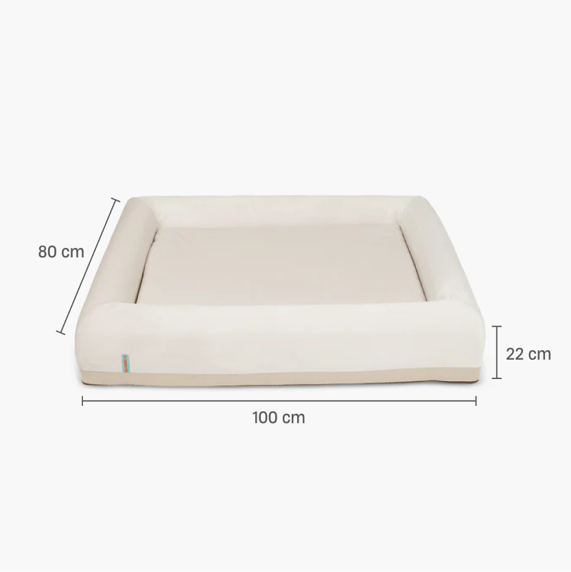 Premium Orthopedic Memory Foam Dog Bed - Champagne (Medium)