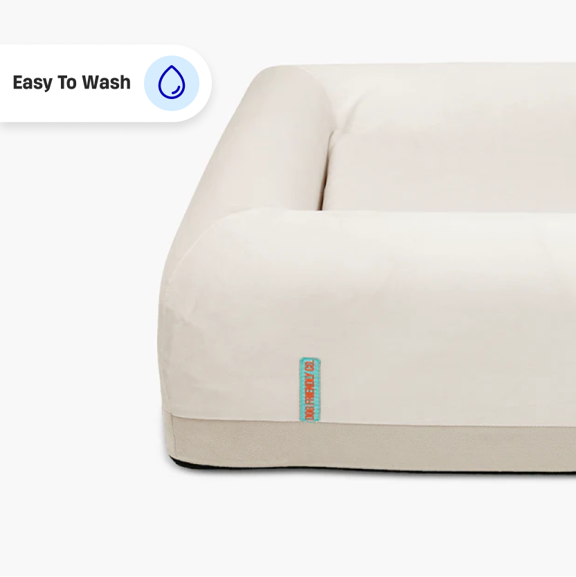 Premium Orthopedic Memory Foam Dog Bed - Champagne (Medium)