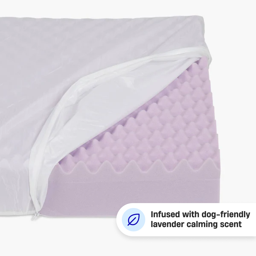 Premium Orthopedic Memory Foam Dog Bed - Pink (Small)
