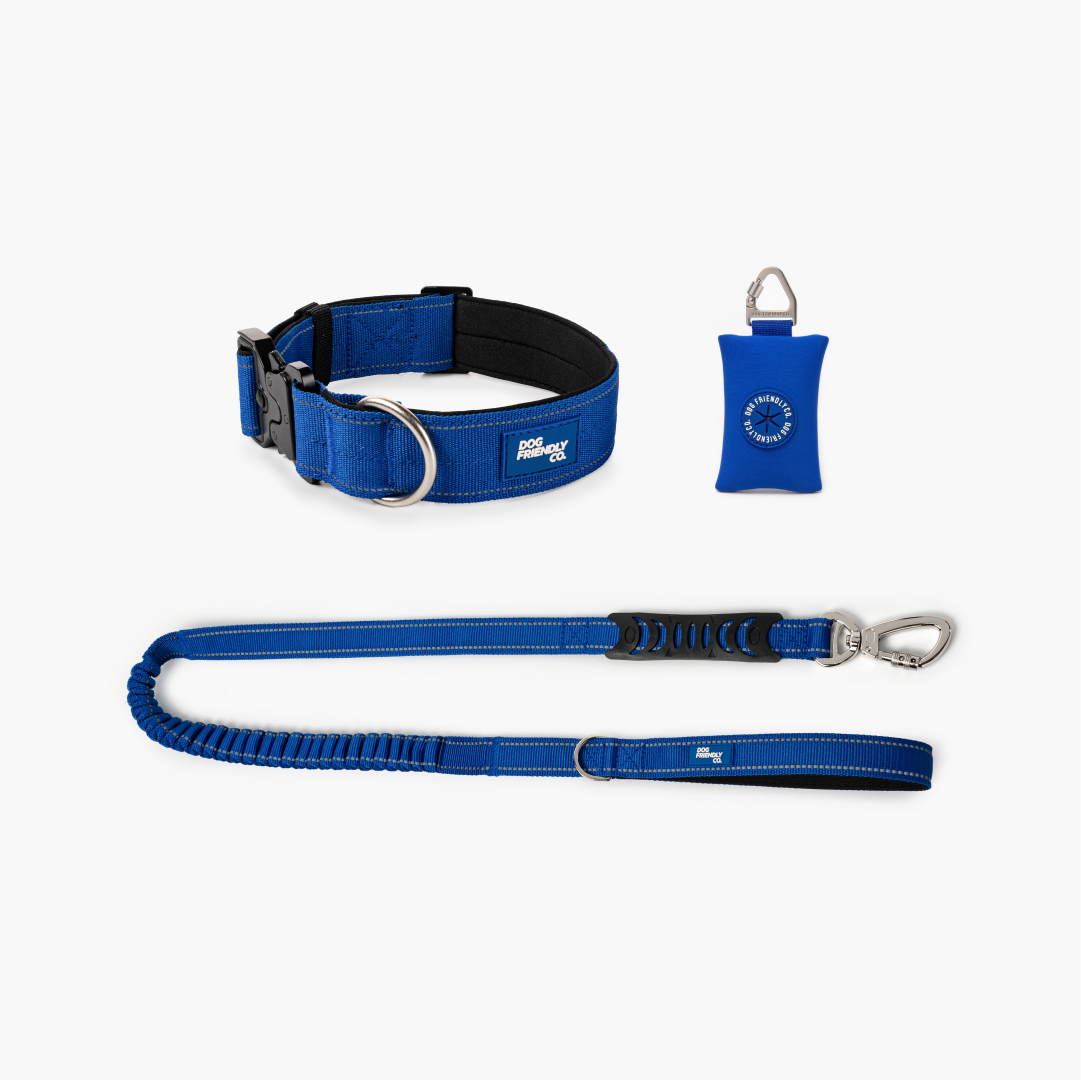 Halsband-Set - Klassisches Blau