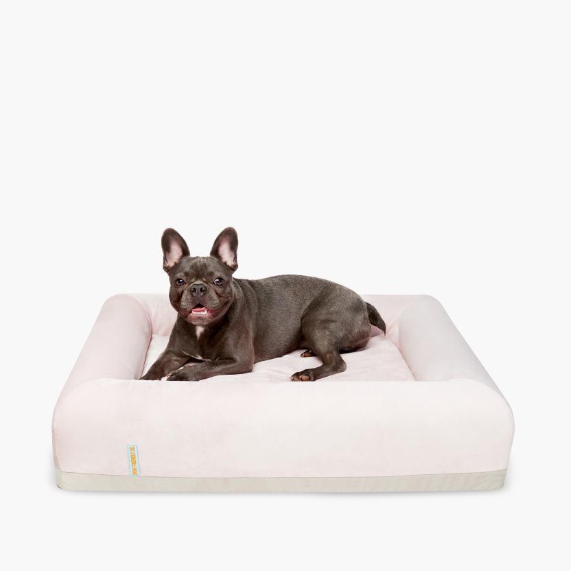 Premium Orthopedic Memory Foam Dog Bed - Pink (Small)