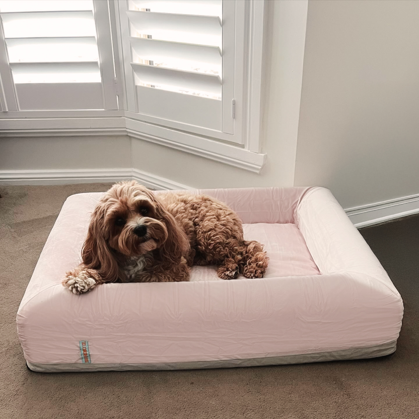 Premium Orthopedic Memory Foam Dog Bed - Pink (Small)