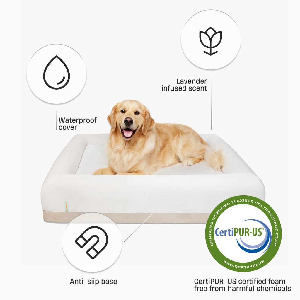 Premium Orthopädisches Memory-Schaum Hundebett - Champagner (Medium)