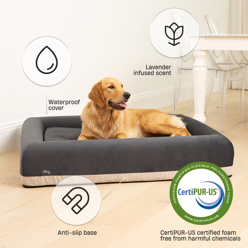 Premium Orthopädisches Memory-Schaum Hundebett - Anthrazit (Groß)