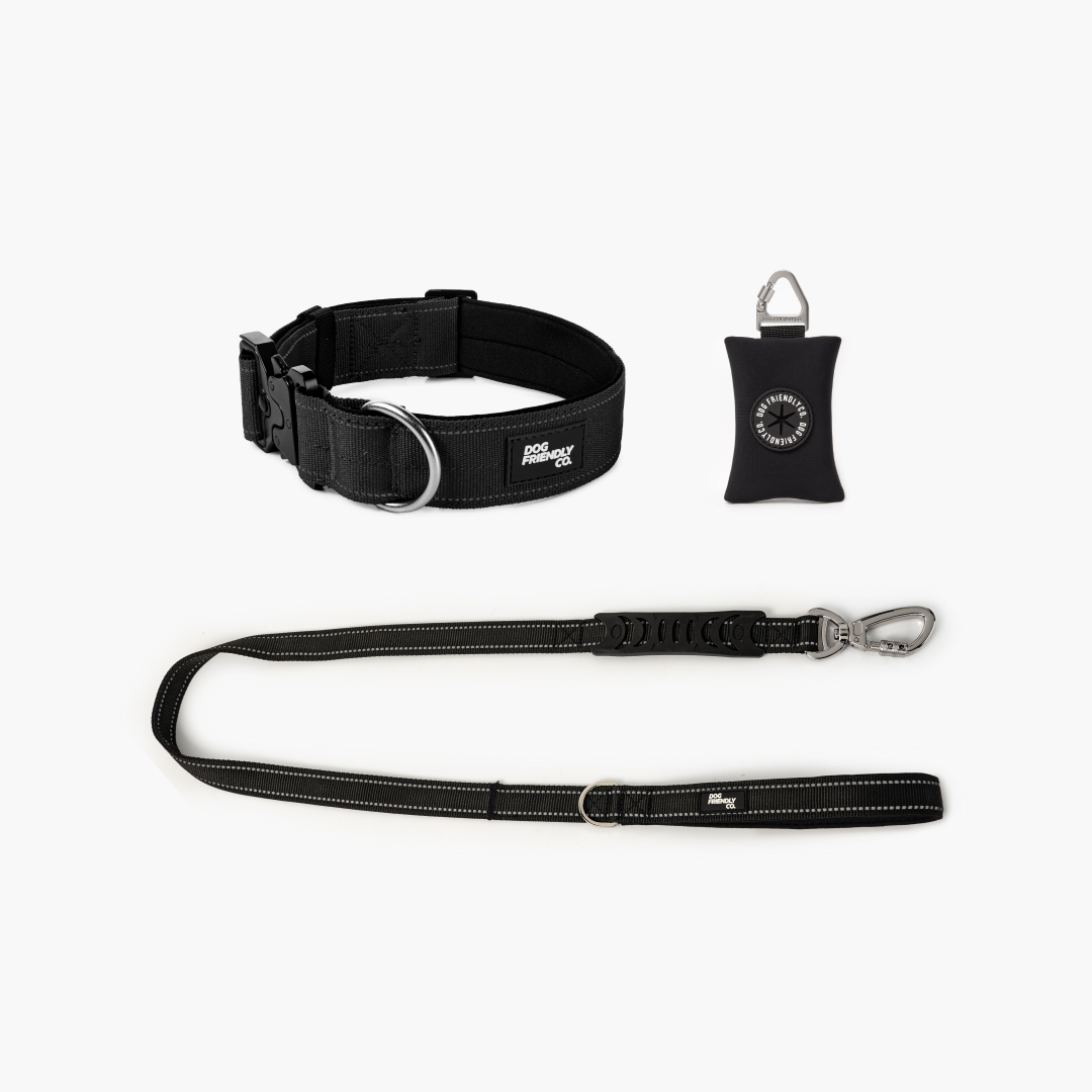 Halsband-Set für Spaziergänge - Schwarz