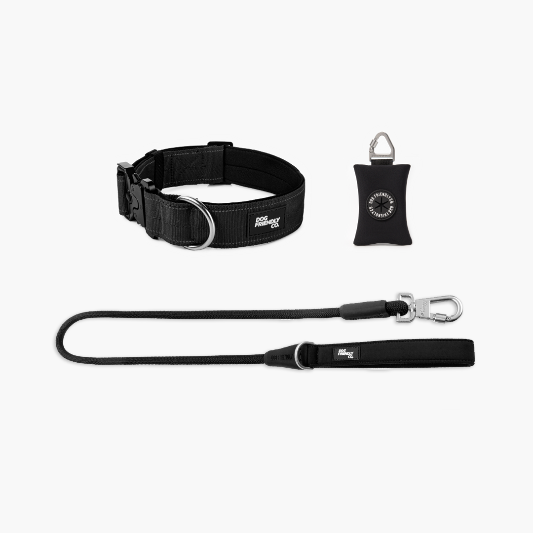 Halsband-Set für Spaziergänge - Schwarz