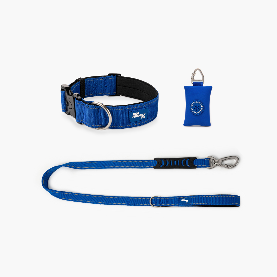 Halsband-Set - Klassisches Blau