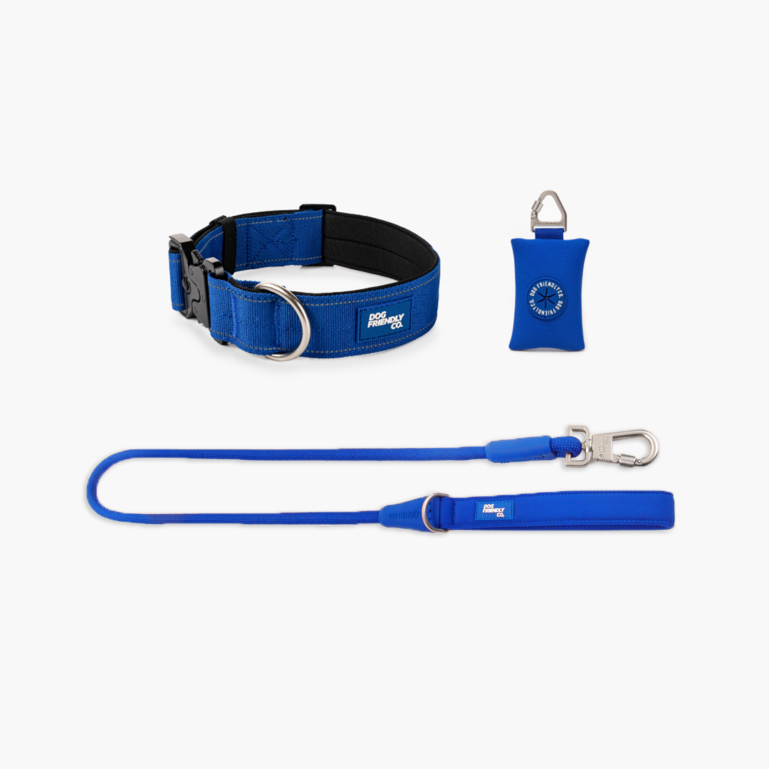 Halsband-Set - Klassisches Blau