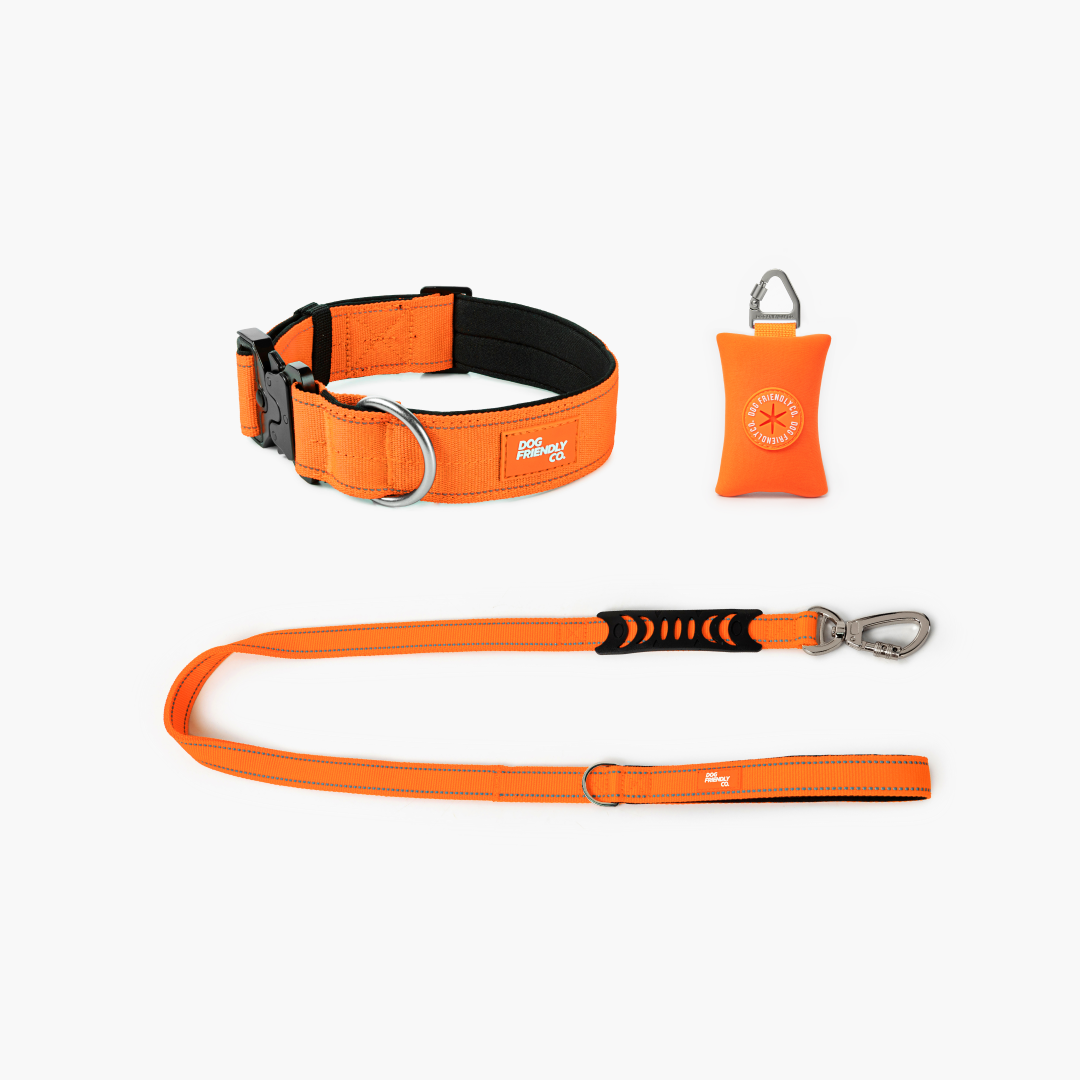 Halsband-Set für Spaziergänge - Signalorange