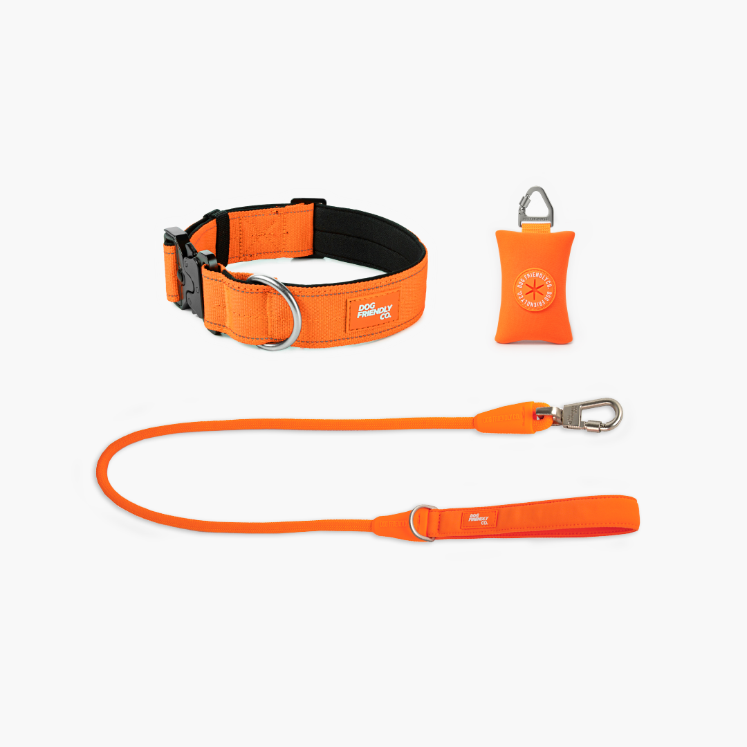 Halsband-Set für Spaziergänge - Signalorange