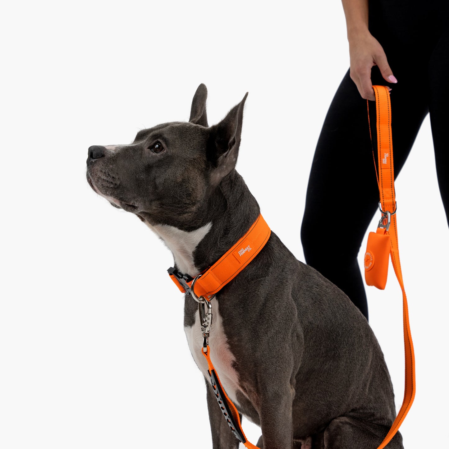 Halsband-Set für Spaziergänge - Signalorange