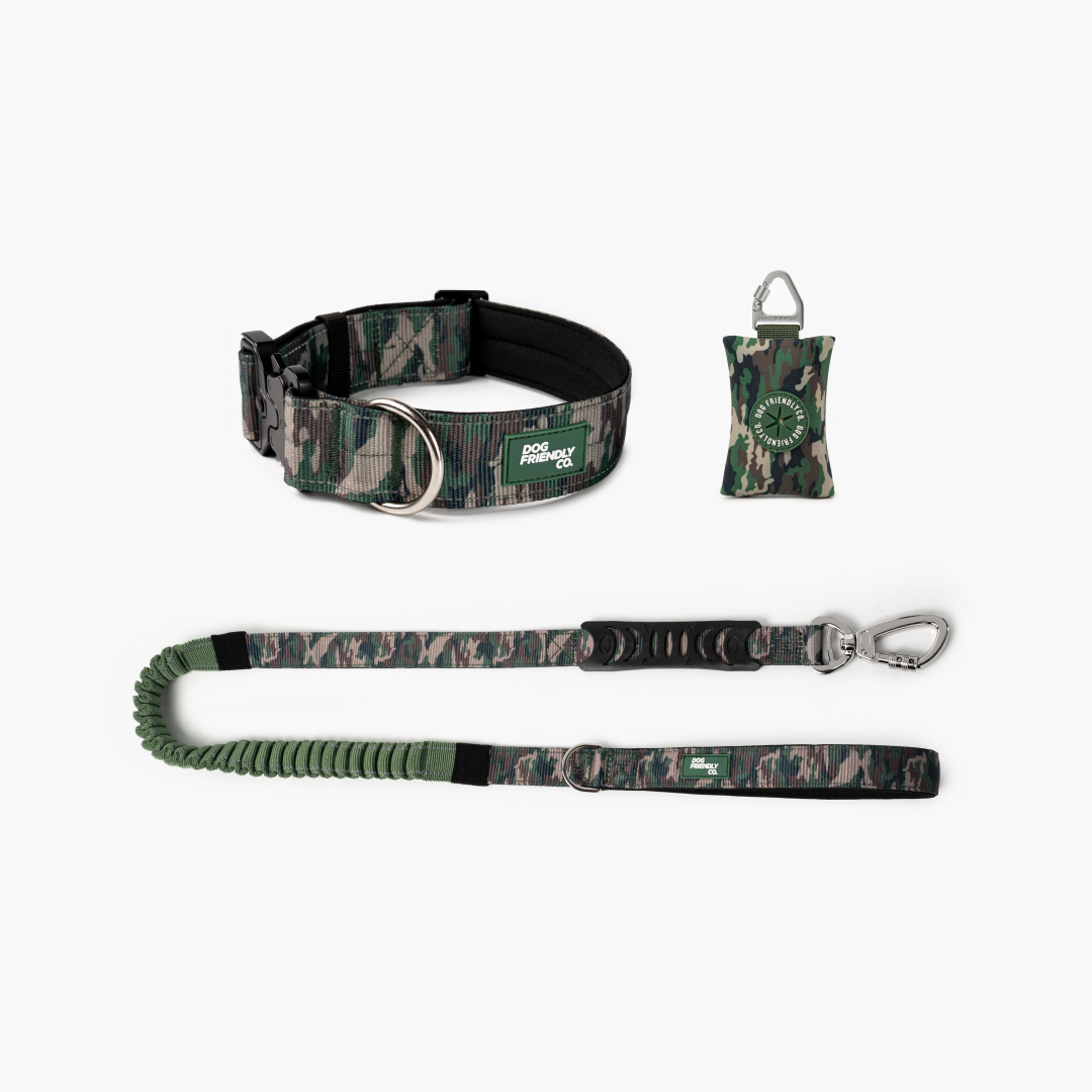 Halsband-Set für Spaziergänge - Grünes Tarnmuster