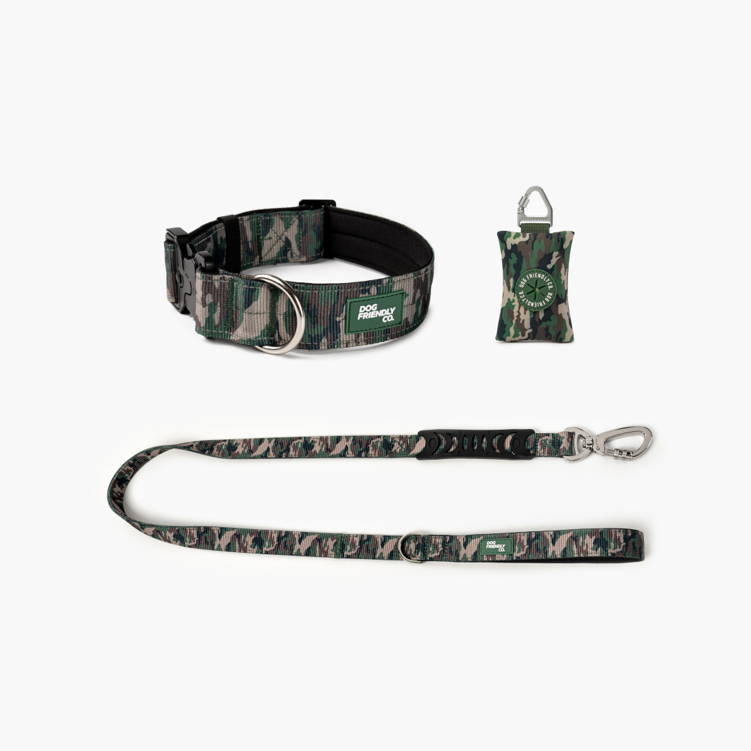 Halsband-Set für Spaziergänge - Grünes Tarnmuster