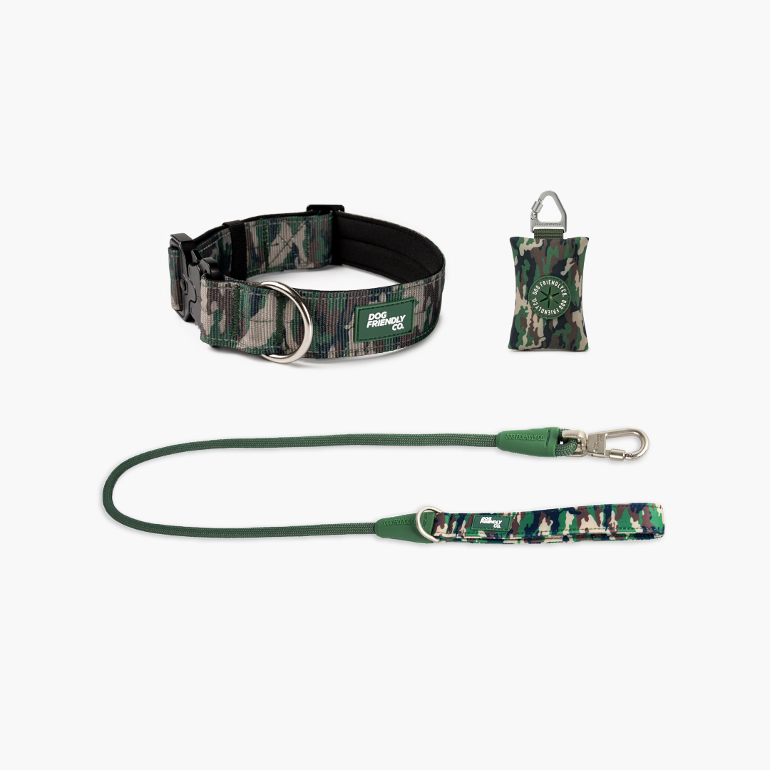 Halsband-Set für Spaziergänge - Grünes Tarnmuster