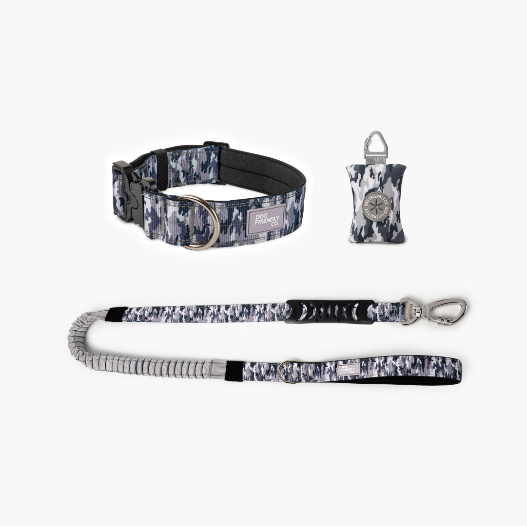 Halsband-Set für Spaziergänge - Grauer Tarnmuster