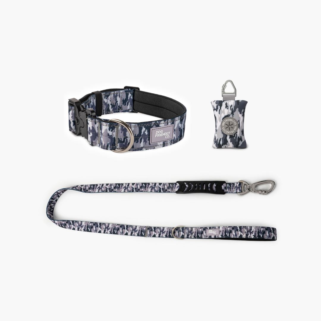 Halsband-Set für Spaziergänge - Grauer Tarnmuster