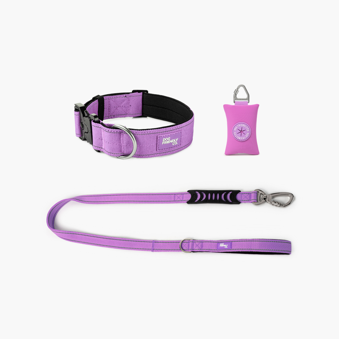 Halsband-Set für Spaziergänge - Lila
