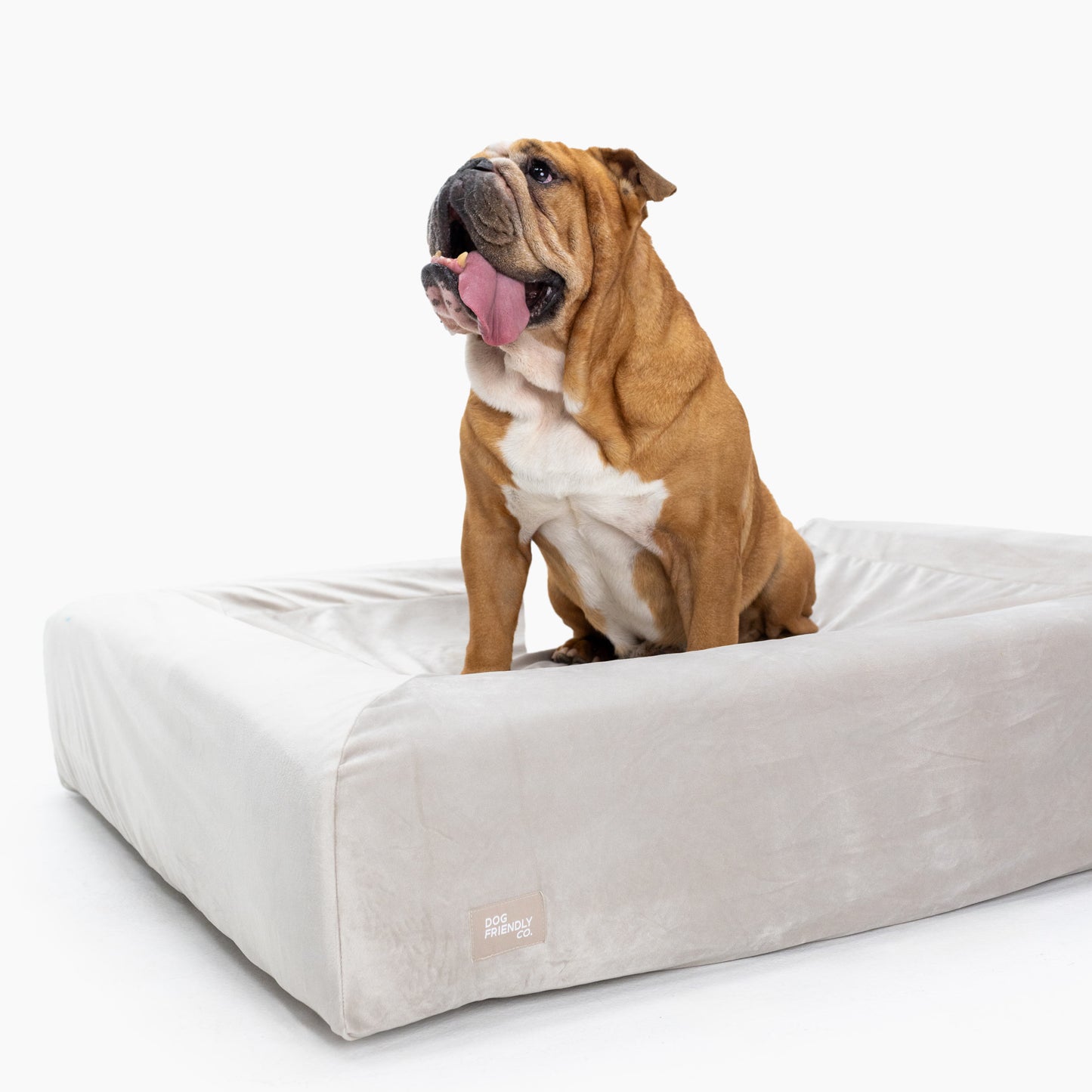 Velvet Easy Fit Hundebettbezug