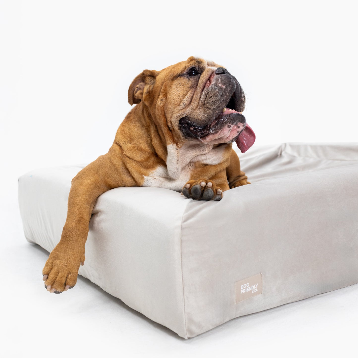 Velvet Easy Fit Hundebettbezug