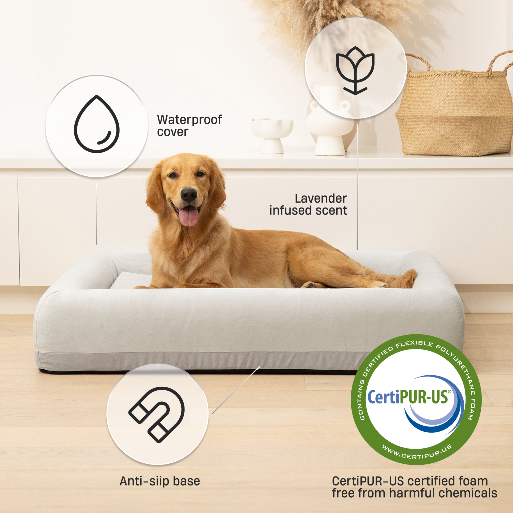 Premium Orthopedic Memory Foam Dog Bed - Grey (Small)