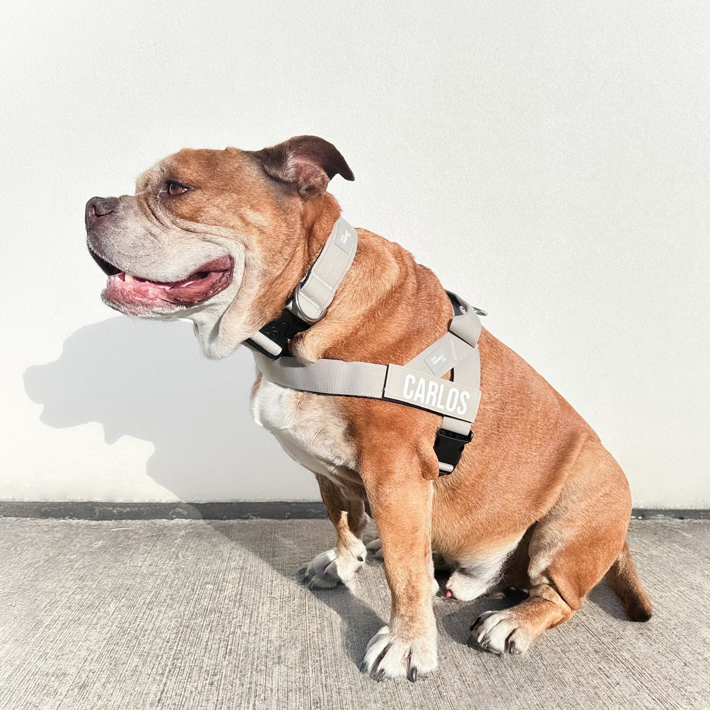 Walk#002 Harness