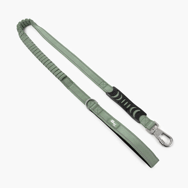 Halsband-Set für Spaziergänge - Khaki