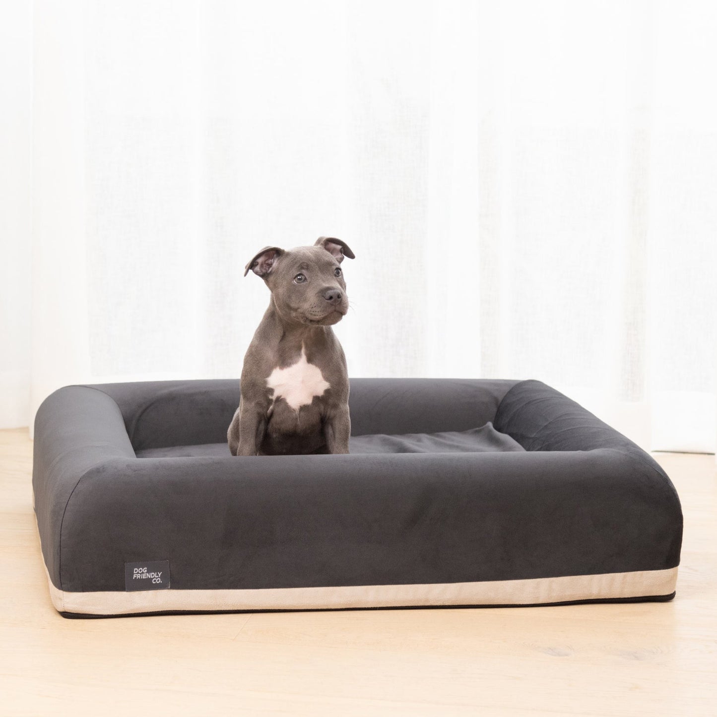Premium Orthopädisches Memory-Schaum Hundebett - Anthrazit (Groß)