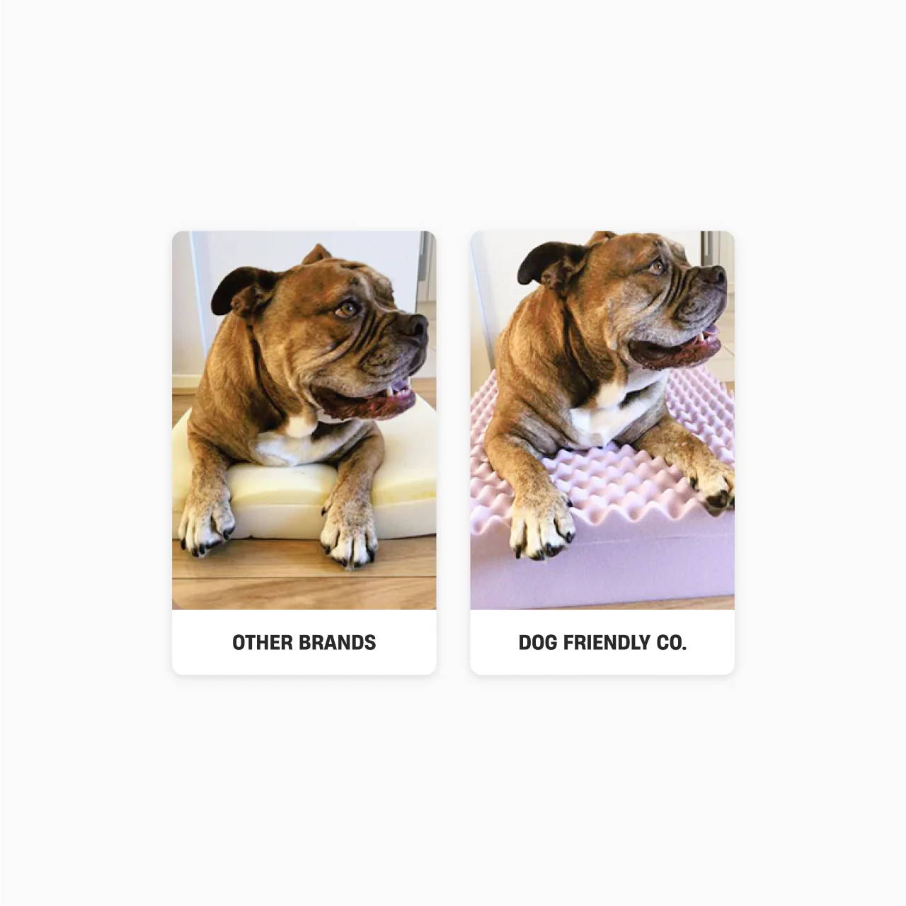 Premium Orthopedic Memory Foam Dog Bed - Pink (Small)
