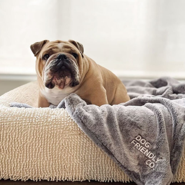 Orthopedic Memory Foam Dog Bed - Pink (Small)