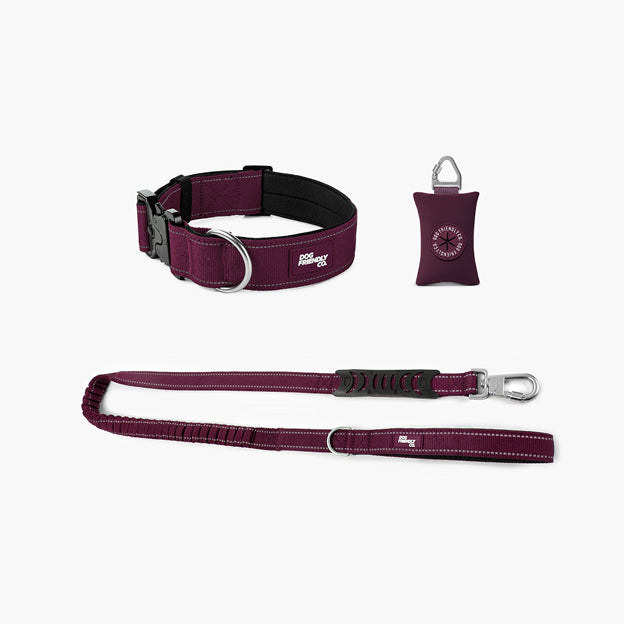 Collar Walk Set - Burgundy