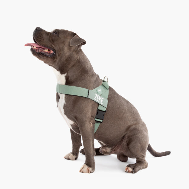 Dog Harness - Khaki