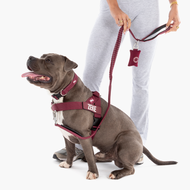 Dog Lovers Pack - Burgundy