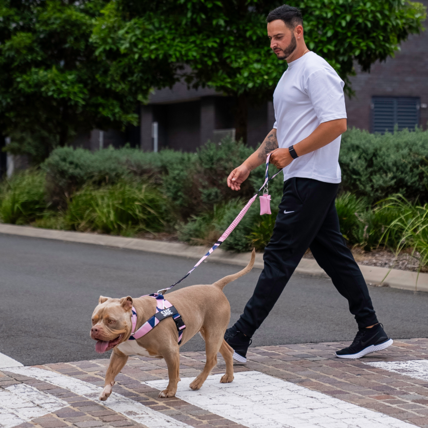 Tactical Dog Collar - Limited Edition Pink