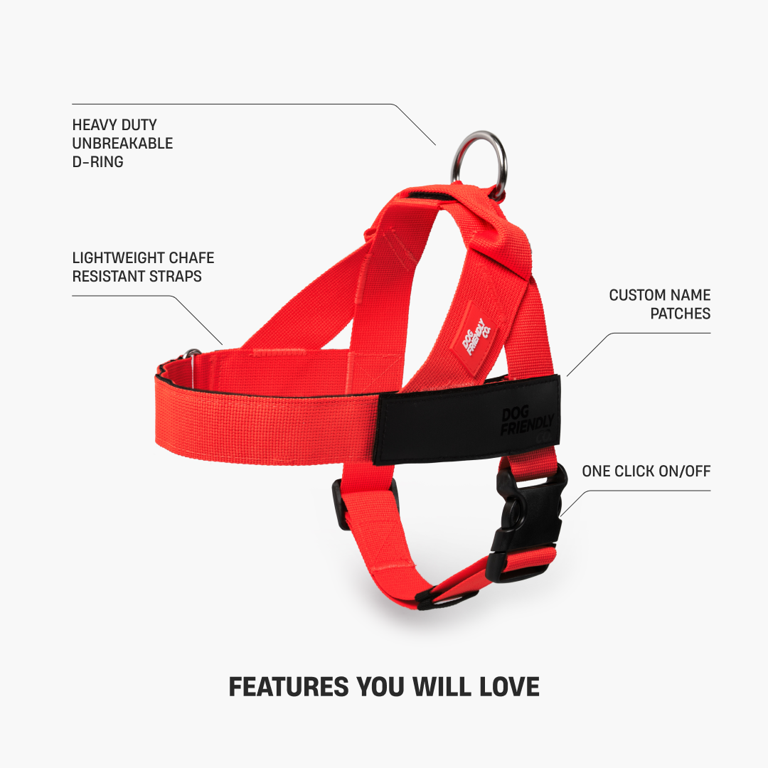 Dog Harness - Red