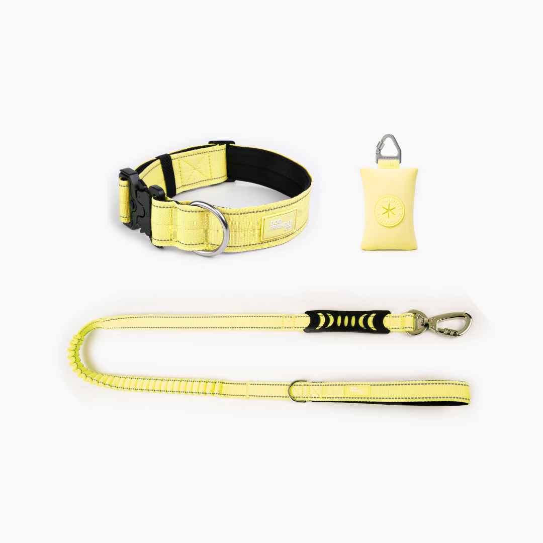 Collar Walk Set - Yellow