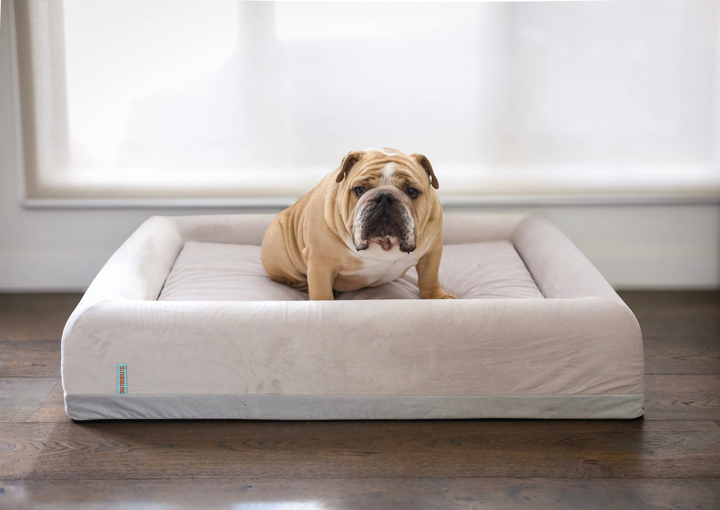 Orthopedic Memory Foam Dog Bed - Beige (Medium)