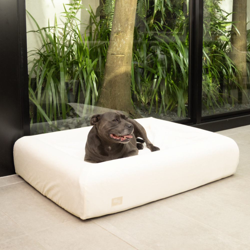 Velvet Easy Fit Hundebettbezug - Beige