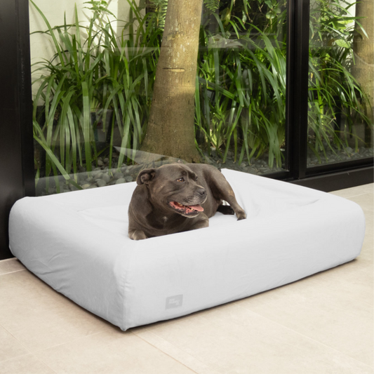 Velvet Easy Fit Hundebettbezug - Grau