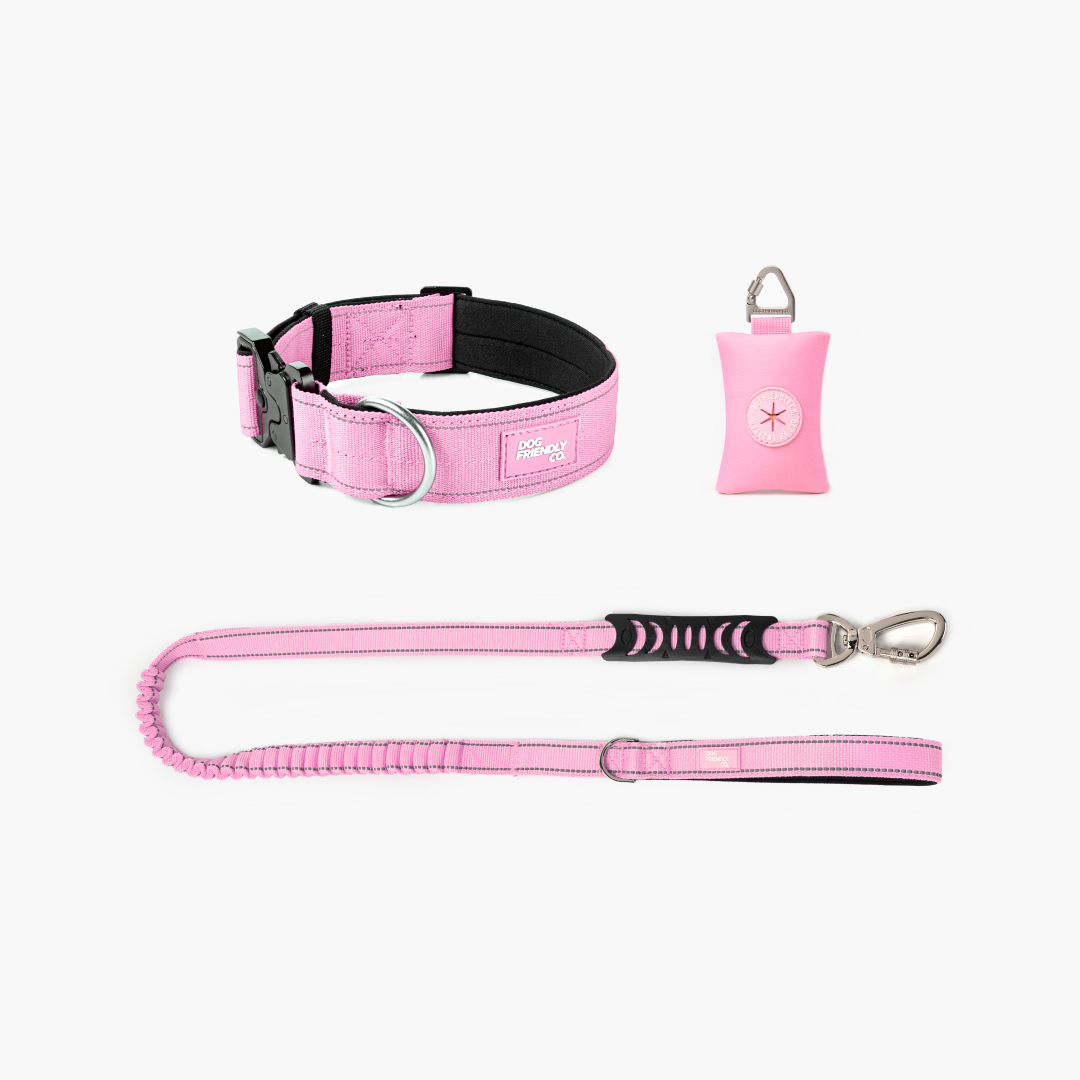 Collar Walk Set - Pink