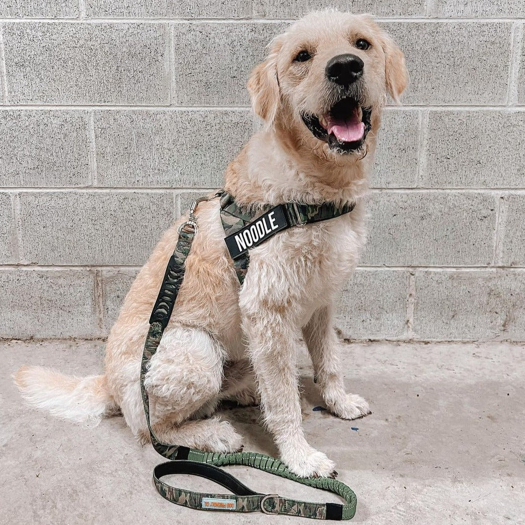 Dog Harness - Green Camo