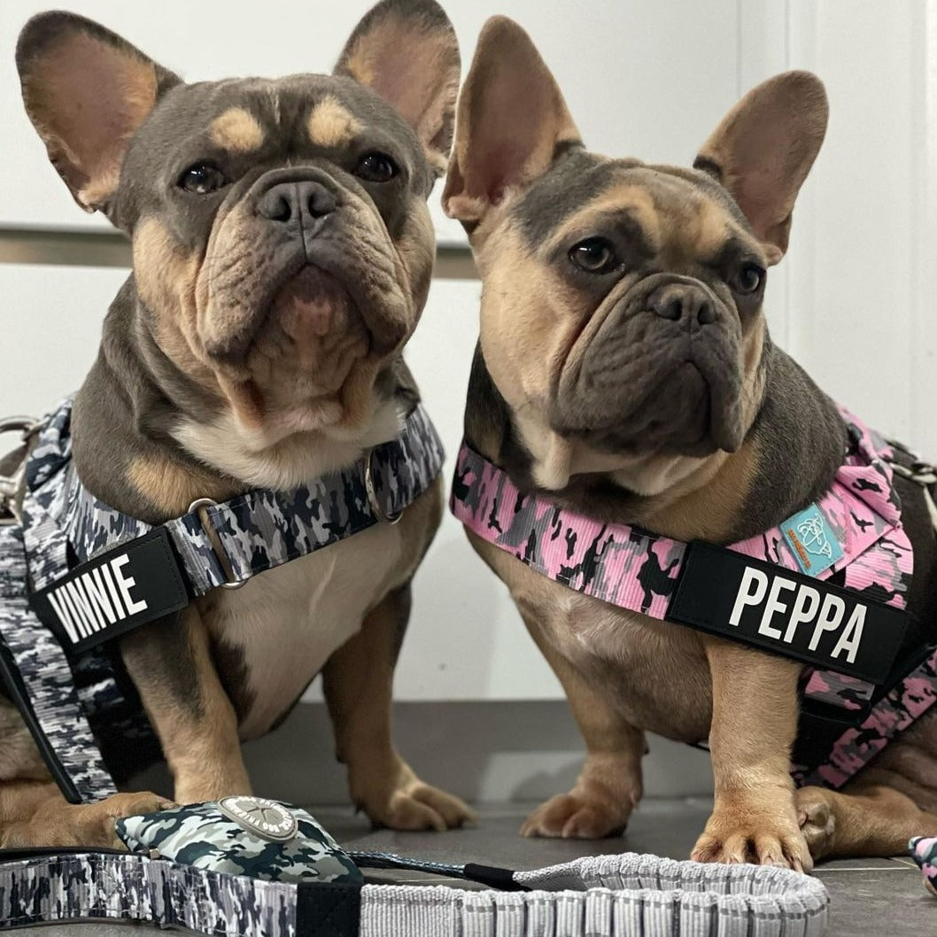 Dog Harness - Pink Camo