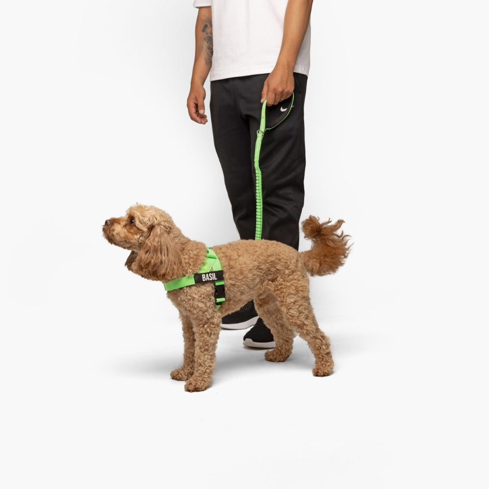 Walk Essentials - Neon Green