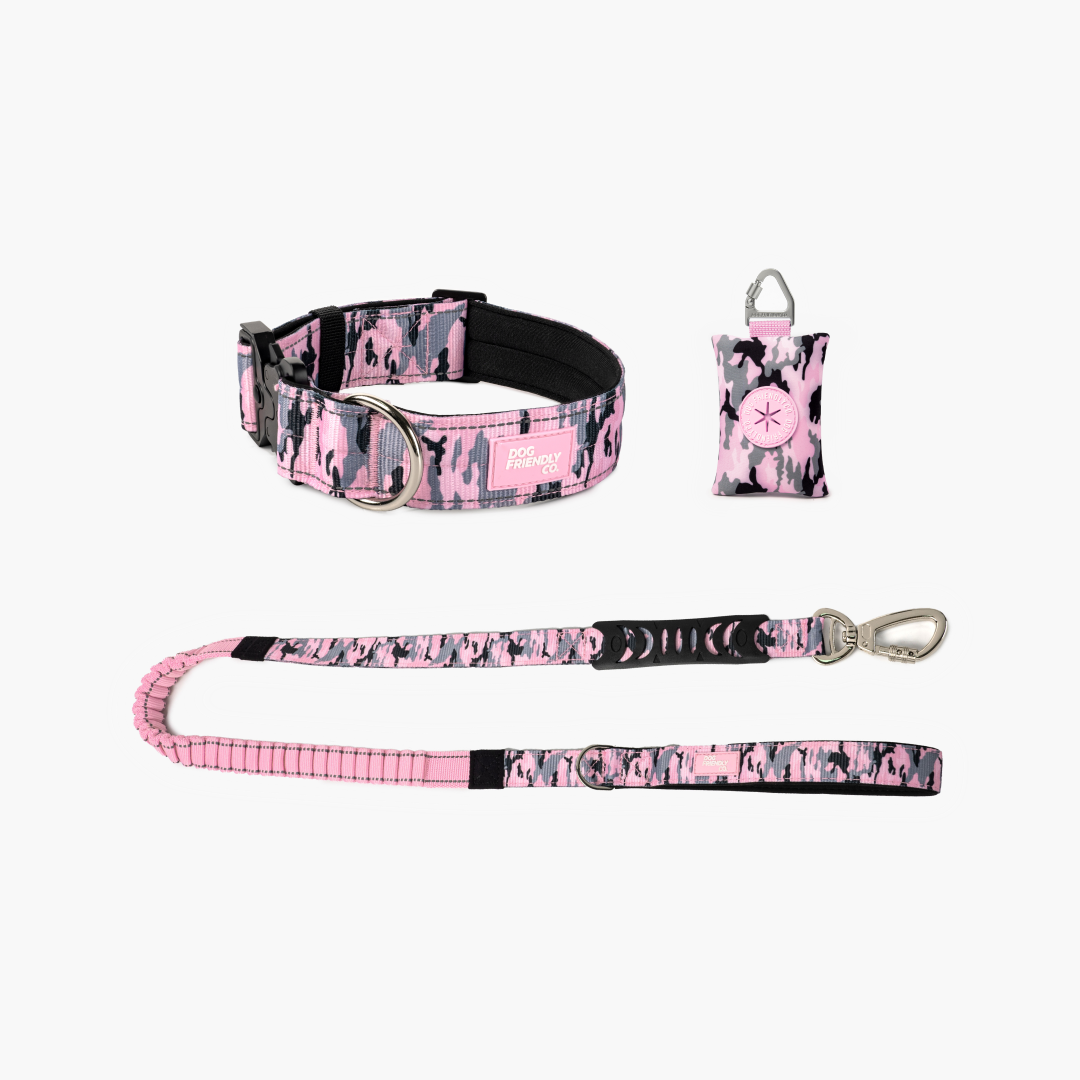 Halsband-Set für Spaziergänge - Rosa Camouflage