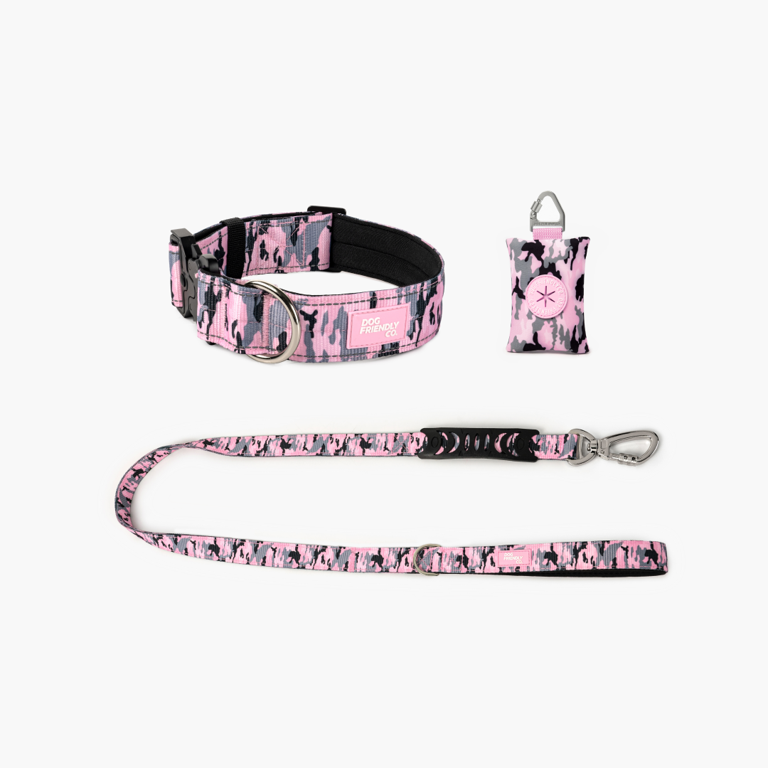 Halsband-Set für Spaziergänge - Rosa Camouflage