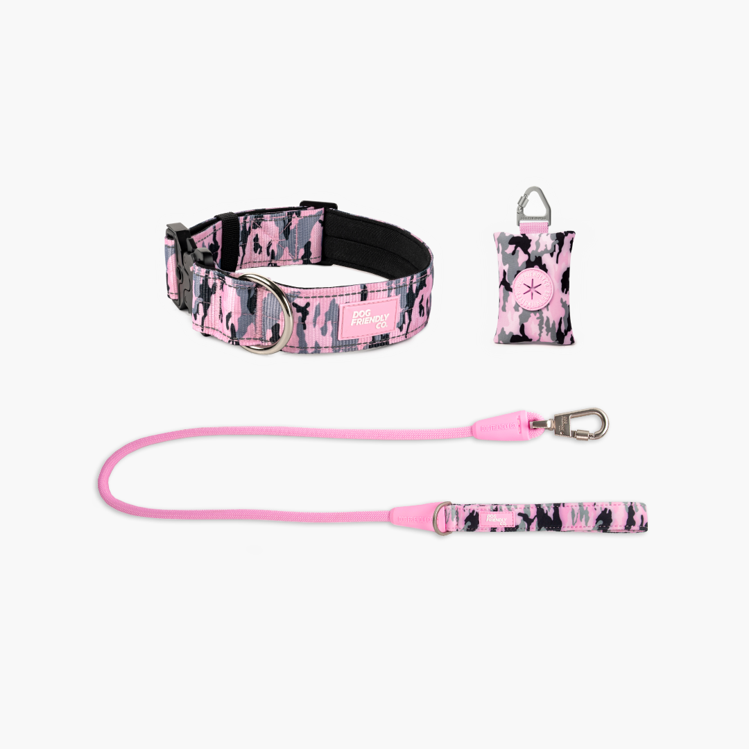 Halsband-Set für Spaziergänge - Rosa Camouflage
