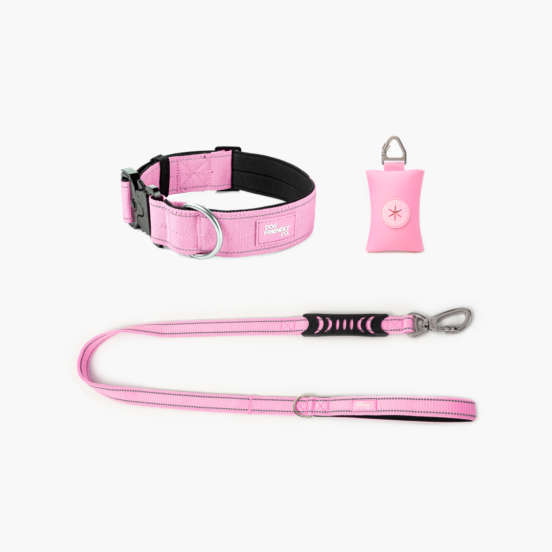 Halsband-Set für Spaziergänge - Rosa