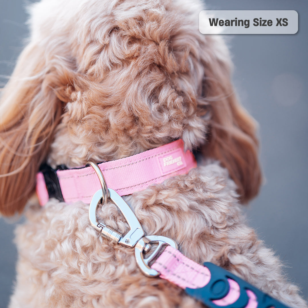 Halsband-Set für Spaziergänge - Rosa
