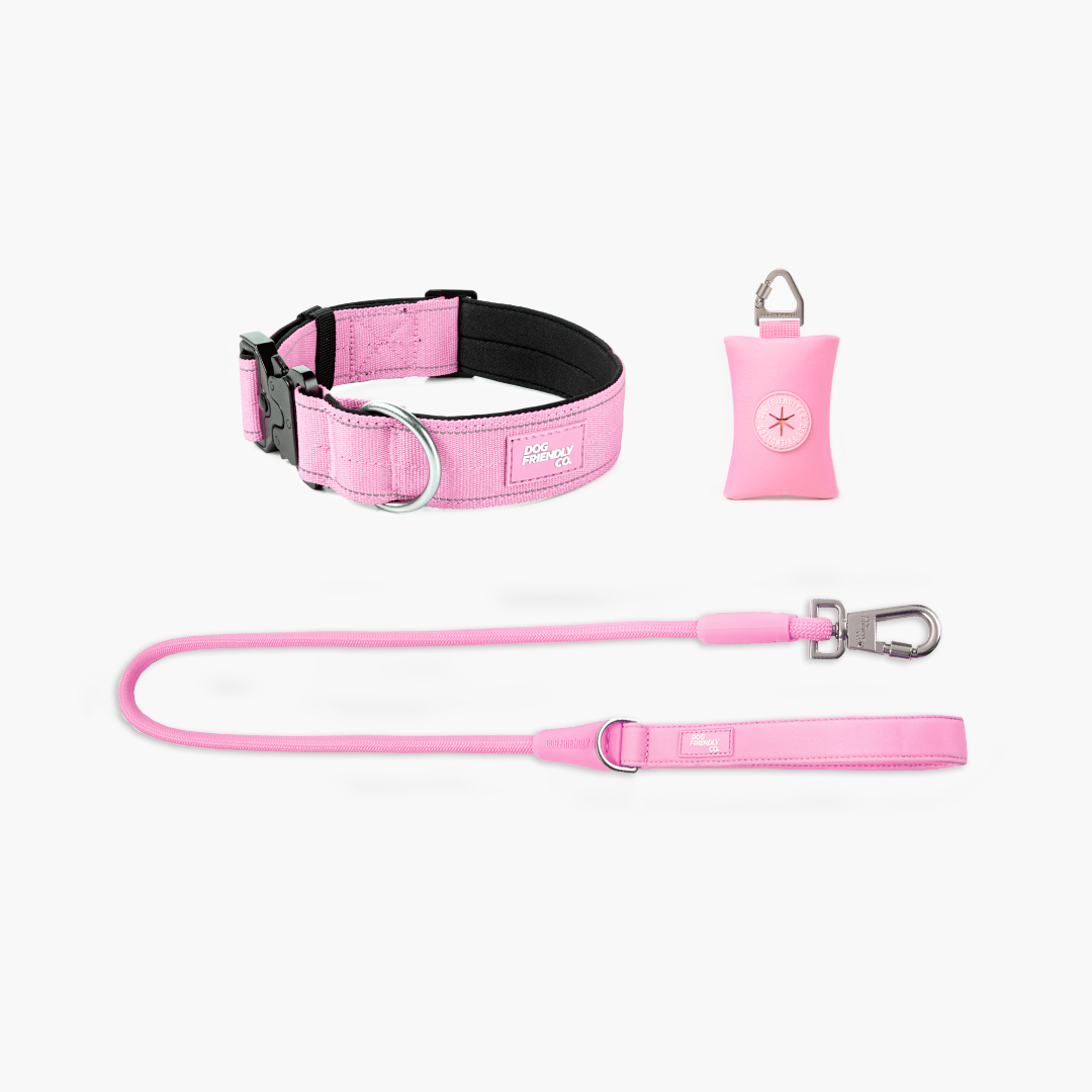 Halsband-Set für Spaziergänge - Rosa
